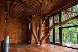 The Architectural Marvel of Hanoi’s Famous Treehouse: A 130 Million VND Retreat - image 8
