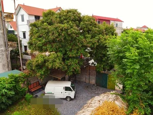 The Architectural Marvel of Hanoi’s Famous Treehouse: A 130 Million VND Retreat - image 7