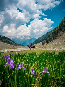 Epic 14-Day Motorbike Adventure Through the Surreal Landscapes of Ladakh India - image 2