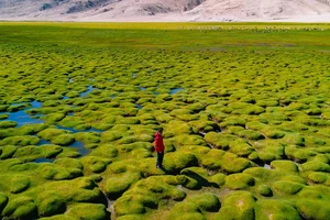 Epic 14-Day Motorbike Adventure Through the Surreal Landscapes of Ladakh India - image 5