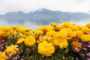 10 Dreamy Spring Destinations in Europe for Your Next Vacation - image 8