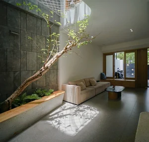 Modern Nature-Integrated Townhouse Design in Da Nang: A Green Sanctuary - image 4