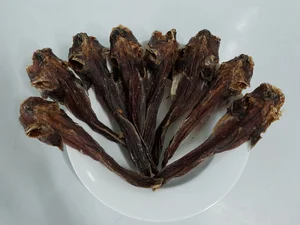 Strangest Fish on Earth Sparks Buying Frenzy at 600,000 VND - image 1