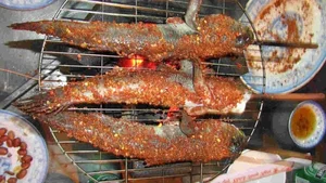 Strangest Fish on Earth Sparks Buying Frenzy at 600,000 VND - image 6