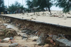 Coastal Destruction: Aftermath of Storm Trami on Vietnam's Coastal Roads - image 9
