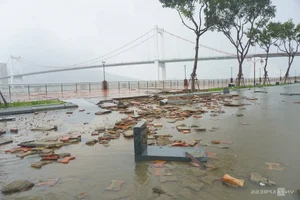 Coastal Destruction: Aftermath of Storm Trami on Vietnam's Coastal Roads - image 6