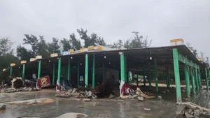 Coastal Destruction: Aftermath of Storm Trami on Vietnam's Coastal Roads - image 10