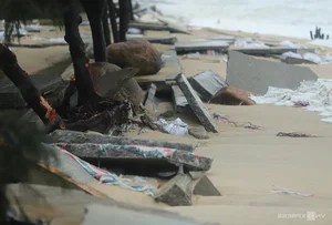 Coastal Destruction: Aftermath of Storm Trami on Vietnam's Coastal Roads - image 5