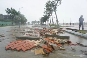 Coastal Destruction: Aftermath of Storm Trami on Vietnam's Coastal Roads - image 8