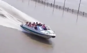 Traditional Ca Mau Wedding Goes Viral With Spectacular River Procession Using Canoes - image 0