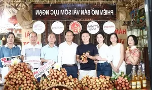 Bac Ninh Vice Chairman and Footballer Quang Hai Team Up for Successful Lychee Sales Livestream - image 0