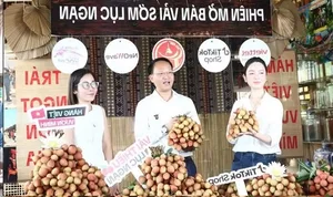 Bac Ninh Vice Chairman and Footballer Quang Hai Team Up for Successful Lychee Sales Livestream - image 1