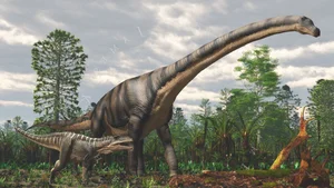 Nature's Giants: Discovering the Animal Weighing as Much as 18 Elephants - image 1