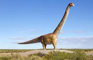 Nature's Giants: Discovering the Animal Weighing as Much as 18 Elephants - image 2