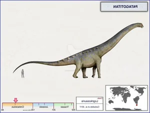 Nature's Giants: Discovering the Animal Weighing as Much as 18 Elephants - image 4