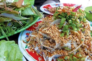 Discover Bac Giang: The Famous Kinh Bac Carp Salad Delicacy - image 2