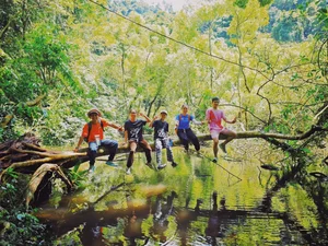 Trekking Hai Phong: A 9km Journey Through Primary Forests - image 1