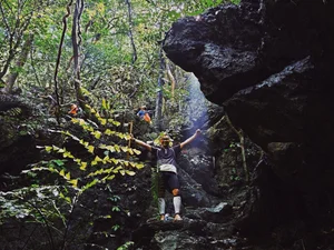 Trekking Hai Phong: A 9km Journey Through Primary Forests - image 4