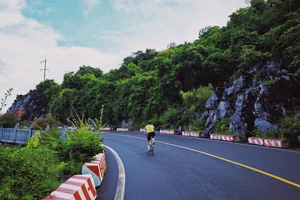 Trekking Hai Phong: A 9km Journey Through Primary Forests - image 10