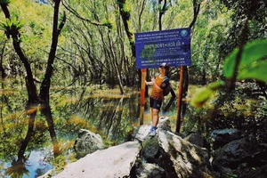 Trekking Hai Phong: A 9km Journey Through Primary Forests - image 0