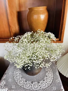 Inside MC Dai Nghia’s Stunning New House Surrounded by Nature and Flowers - image 9