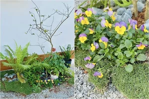 Inside MC Dai Nghia’s Stunning New House Surrounded by Nature and Flowers - image 4