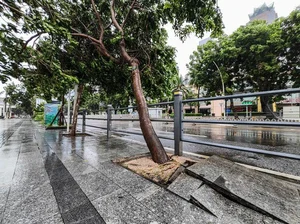 Witnessing the Power of Super Typhoon Yagi: Impact Across China - image 2