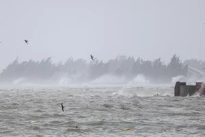 Witnessing the Power of Super Typhoon Yagi: Impact Across China - image 6