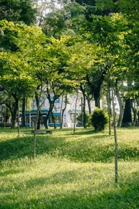 Discover the Cinematic Beauty of Hue’s Perfume River Riverside Spot - image 5