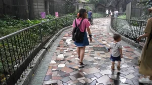 Surprising Photos of Modern Life in China: A Blend of Tech and Tradition - image 4