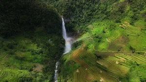 Conquering Hang Te Cho: Trekking Through the 'Four Great Death Traps' of Vietnam - image 5