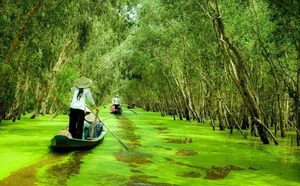 Rainy Season Travel Guide: Safe and Magical Destinations for Your Next Monsoon Adventure and Nature Escape - image 4