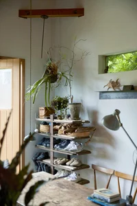 Minimalist 1-Story Garden House: A Retired Architect’s Peaceful Sanctuary - image 3
