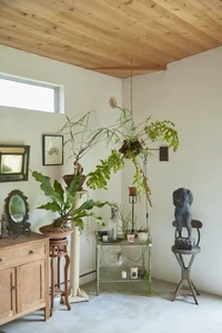Minimalist 1-Story Garden House: A Retired Architect’s Peaceful Sanctuary - image 4