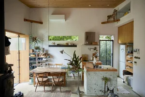 Minimalist 1-Story Garden House: A Retired Architect’s Peaceful Sanctuary - image 15