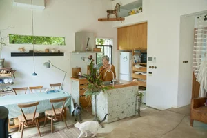 Minimalist 1-Story Garden House: A Retired Architect’s Peaceful Sanctuary - image 18