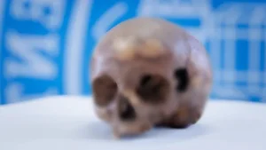 Historical Mystery Unveiled: The Shocking Secrets of Cleopatra's Sister's Skull - image 0