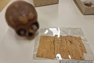 Historical Mystery Unveiled: The Shocking Secrets of Cleopatra's Sister's Skull - image 2