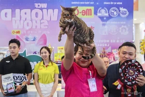 Southeast Asia Cat Beauty Pageant: Feline Elegance Takes Center Stage in Ho Chi Minh City - image 3
