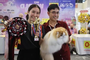 Southeast Asia Cat Beauty Pageant: Feline Elegance Takes Center Stage in Ho Chi Minh City - image 2