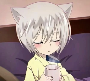 100+ Best Tomoe Wallpapers: The Most Handsome Fox Yokai from Kamisama Kiss - image 5