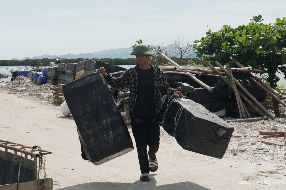 Ha Long Bay Environmental Alert: Floating Farm Waste Threatens Vietnam's Iconic Heritage Site