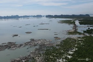 Ha Long Bay Environmental Alert: Floating Farm Waste Threatens Vietnam's Iconic Heritage Site - image 2