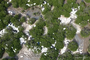 Ha Long Bay Environmental Alert: Floating Farm Waste Threatens Vietnam's Iconic Heritage Site - image 4