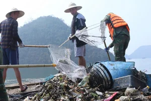 Ha Long Bay Environmental Alert: Floating Farm Waste Threatens Vietnam's Iconic Heritage Site - image 6