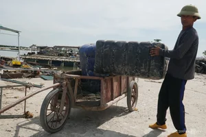 Ha Long Bay Environmental Alert: Floating Farm Waste Threatens Vietnam's Iconic Heritage Site - image 8