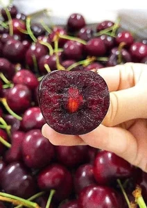 Fresh US Cherries Hit Vietnam Market with Unprecedented Record Low Prices - image 1