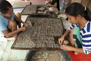 Exploring Indonesia’s Unique Dried Lizard Delicacy: A Pungent Traditional Specialty - image 2