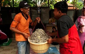 Exploring Indonesia’s Unique Dried Lizard Delicacy: A Pungent Traditional Specialty - image 5