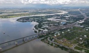 Nhon Trach Bridge: A Look at Ring Road 3’s Largest Infrastructure Project - image 3